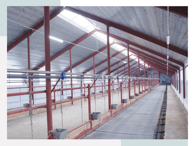 Строительство коровников в Усть-Джегуте от 607 руб.