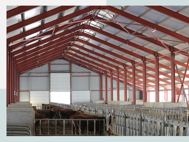 Строительство коровников в Усть-Джегуте