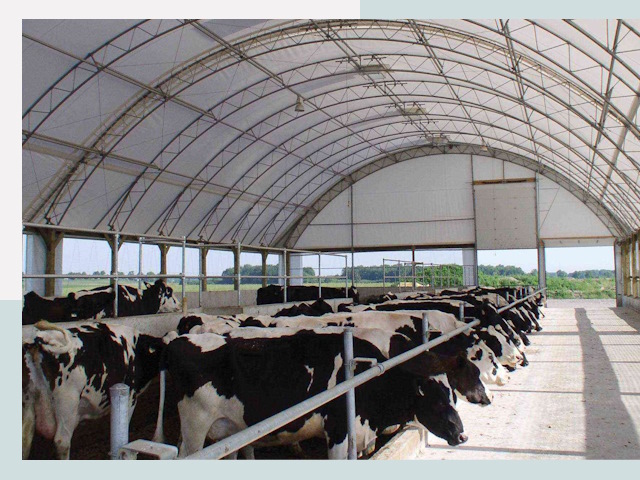 Тентовые коровники в Усть-Джегуте